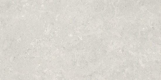 Denver 12X24F Desert Matte | Diversity Kitchen Bath & Tile