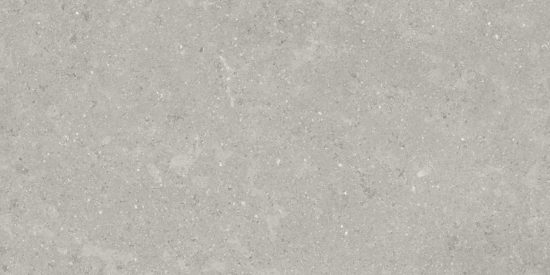 Denver 12X24F Graphite Matte | Diversity Kitchen Bath & Tile