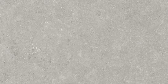 Denver 12X24F Graphite Matte | Diversity Kitchen Bath & Tile