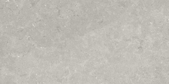 Denver 12X24F Graphite Matte | Diversity Kitchen Bath & Tile