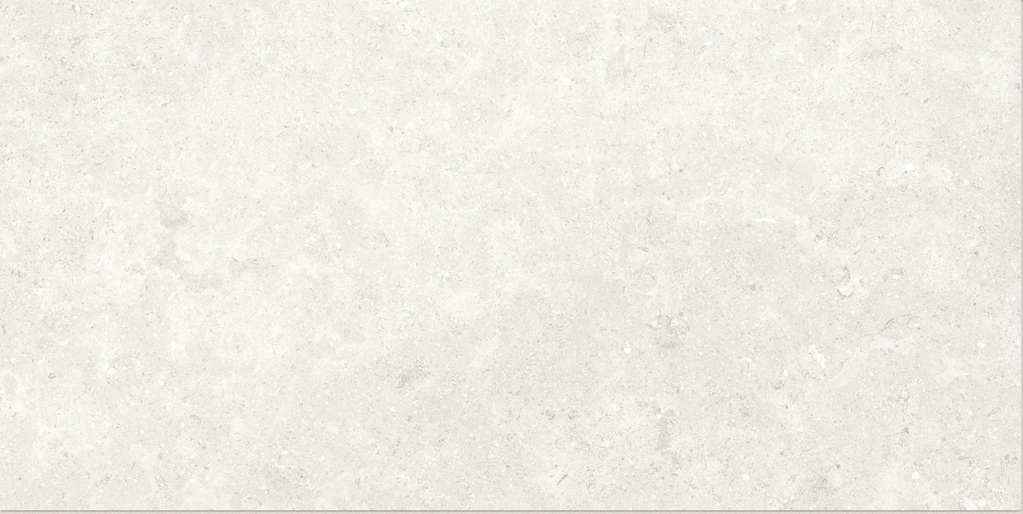 Denver 12X24F Pearl Matte | Diversity Kitchen Bath & Tile