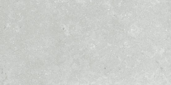 Denver 12X24F Platinum Matte | Diversity Kitchen Bath & Tile