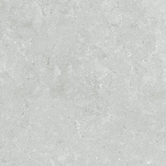 Denver 20X20F Platinum Matte | Diversity Kitchen Bath & Tile