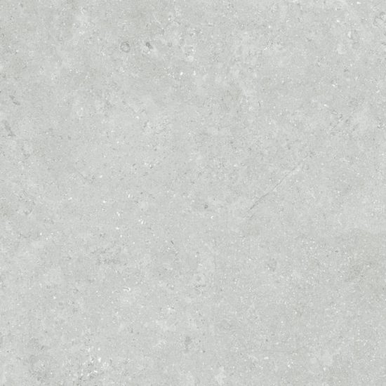 Denver 20X20F Platinum Matte | Diversity Kitchen Bath & Tile