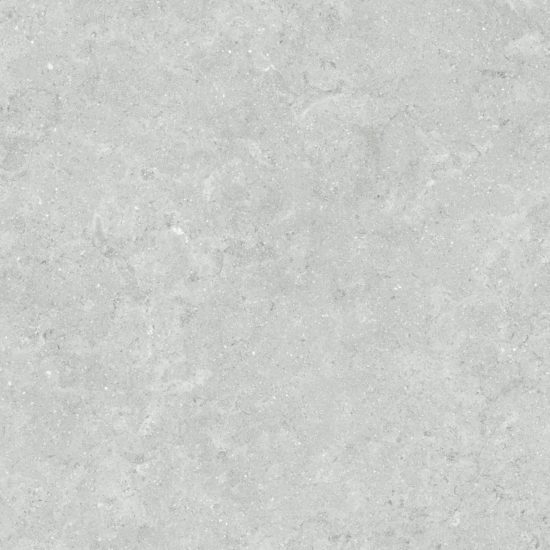Denver 20X20F Platinum Matte | Diversity Kitchen Bath & Tile
