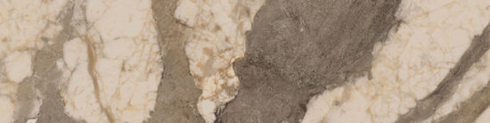 Dynasty Taupe 3X12 Bullnose | Diversity Kitchen Bath & Tile