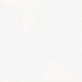 Floodplain Field Tile Ivory | Diversity Kitchen Bath & Tile