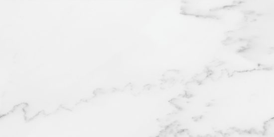 Florence 12X24F Bianco Matte | Diversity Kitchen Bath & Tile