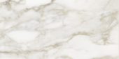 Florence 12X24F Calacatta Matte | Diversity Kitchen Bath & Tile