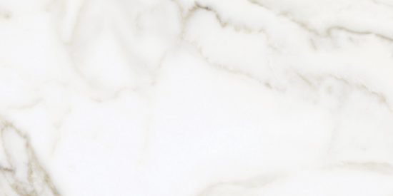 Florence 12X24F Calacatta Matte | Diversity Kitchen Bath & Tile