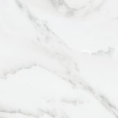 Florence 13X13F Bianco Matte | Diversity Kitchen Bath & Tile