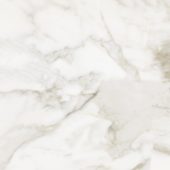 Florence 13X13F Calacatta Matte | Diversity Kitchen Bath & Tile