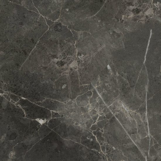 Florence 20X20F Carbon Matte | Diversity Kitchen Bath & Tile