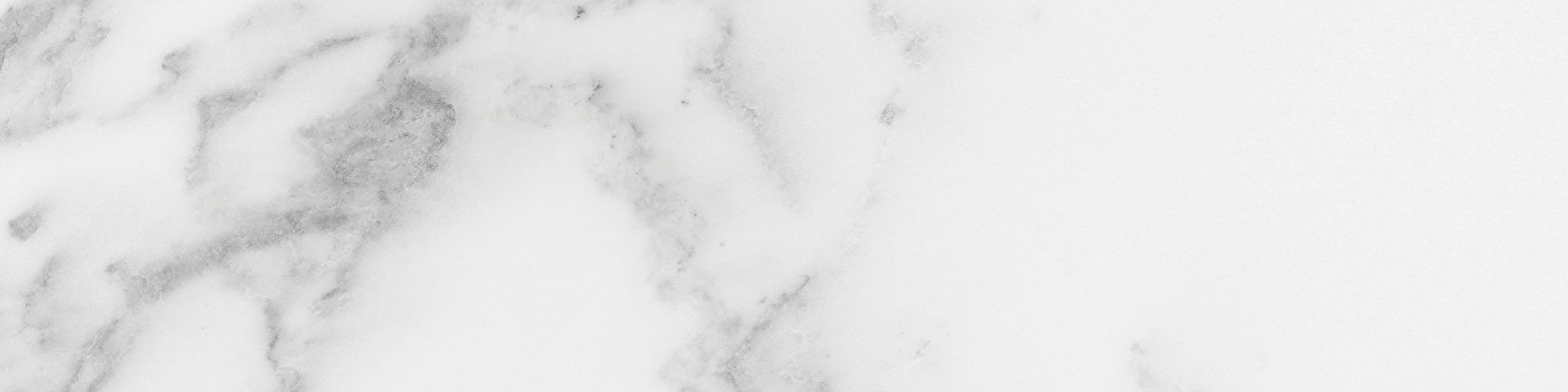 Florence 3x12 Bianco Matte Bullnose | Diversity Kitchen Bath & Tile