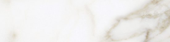 Florence 3x12 Calacatta Matte Bullnose | Diversity Kitchen Bath & Tile