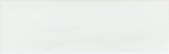 Lisbon 2x6" White | Diversity Kitchen Bath & Tile