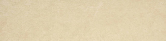 Matte 3X12 Affection Bullnose | Diversity Kitchen Bath & Tile