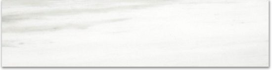 Matte 3X12 Devotion Bullnose | Diversity Kitchen Bath & Tile