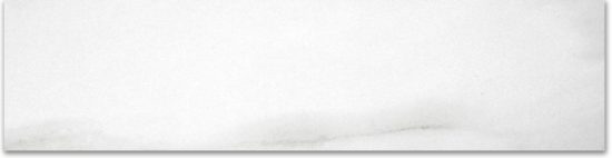 Matte 3X12 Infatuation Bullnose | Diversity Kitchen Bath & Tile