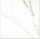 Matte Adoration 24X24 | Diversity Kitchen Bath & Tile