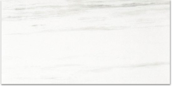 Matte Devotion 12X24 | Diversity Kitchen Bath & Tile