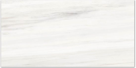 Matte Devotion 16X32 | Diversity Kitchen Bath & Tile