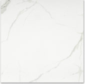 Matte Love 24X24 | Diversity Kitchen Bath & Tile