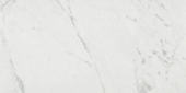 Milano Statuario Honed 12X24 | Diversity Kitchen Bath & Tile