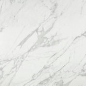 Milano Statuario Honed 24X24 | Diversity Kitchen Bath & Tile