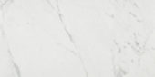Milano Statuario Honed 24X48 | Diversity Kitchen Bath & Tile