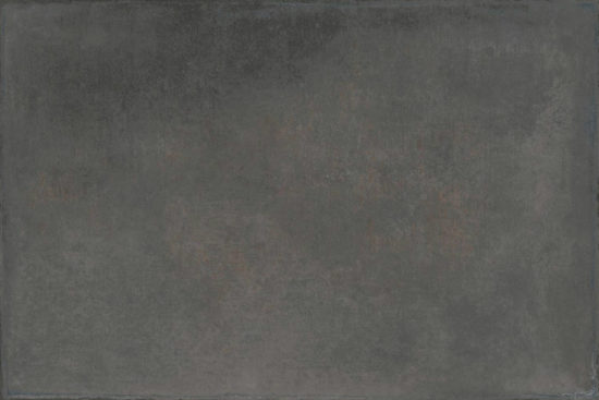 Palms Steel 16x24 | Diversity Kitchen Bath & Tile