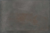 Palms Steel 16x24 | Diversity Kitchen Bath & Tile