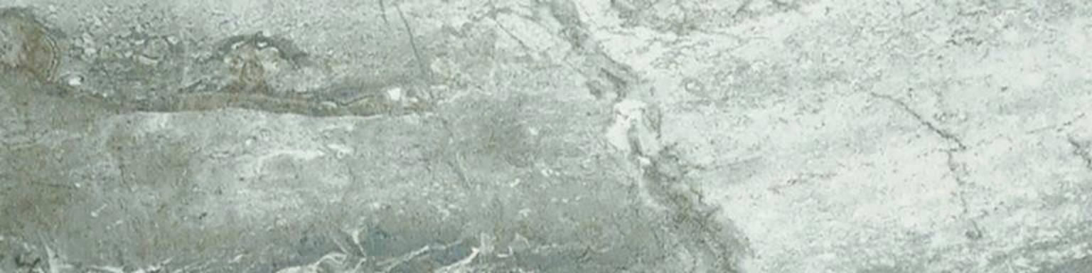 Parana 4X12 | Diversity Kitchen Bath & Tile