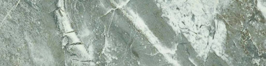 Parana 4X12 | Diversity Kitchen Bath & Tile