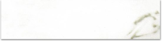 Polished 3X12 Adoration Bullnose | Diversity Kitchen Bath & Tile