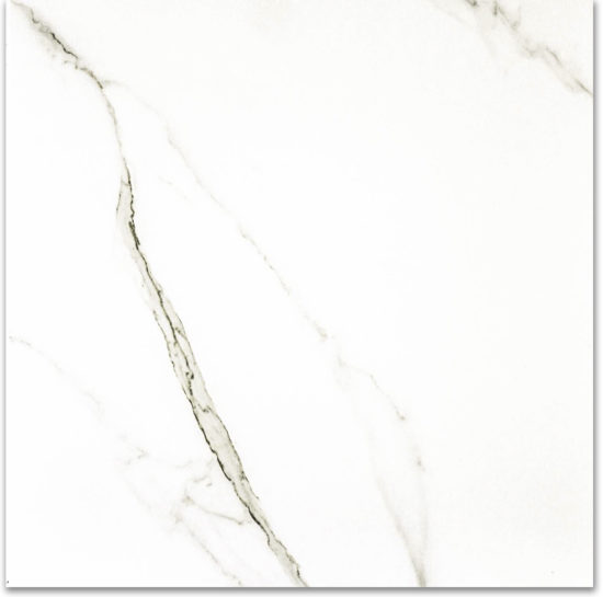 Polished Adoration 24X24 | Diversity Kitchen Bath & Tile