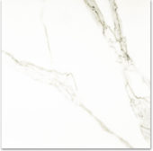 Polished Adoration 24X24 | Diversity Kitchen Bath & Tile