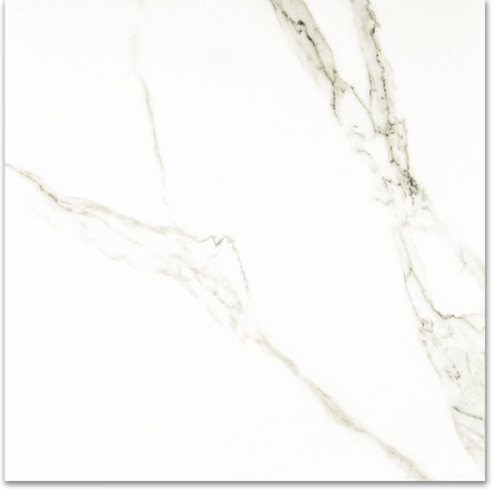 Polished Adoration 24X24 | Diversity Kitchen Bath & Tile