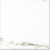 Polished Adoration 24X24 | Diversity Kitchen Bath & Tile