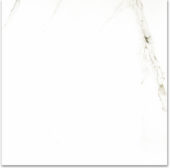 Polished Adoration 24X24 | Diversity Kitchen Bath & Tile