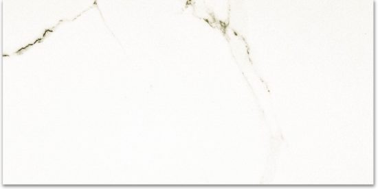 Polished Adoration 24X48 | Diversity Kitchen Bath & Tile