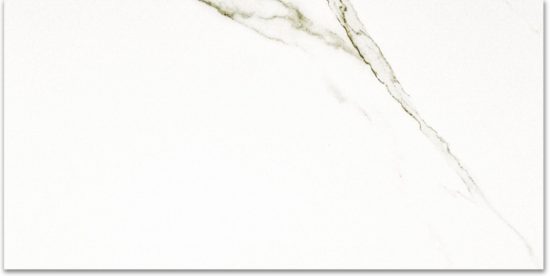 Polished Adoration 24X48 | Diversity Kitchen Bath & Tile