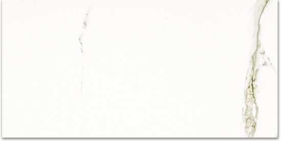 Polished Adoration 24X48 | Diversity Kitchen Bath & Tile