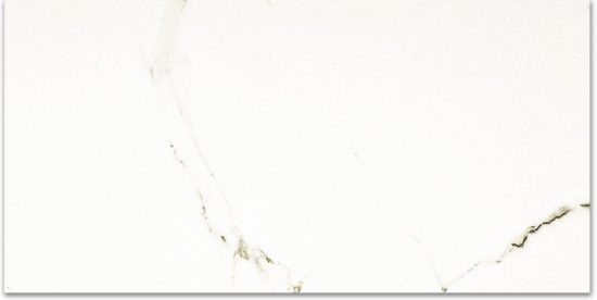 Polished Adoration 24X48 | Diversity Kitchen Bath & Tile