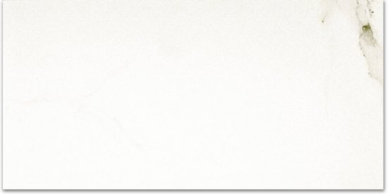 Polished Adoration 24X48 | Diversity Kitchen Bath & Tile