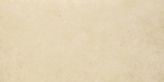 Polished Affection 16X32 | Diversity Kitchen Bath & Tile