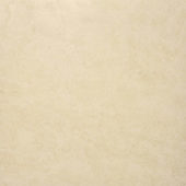 Polished Affection 24X24 | Diversity Kitchen Bath & Tile