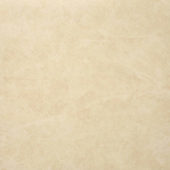 Polished Affection 24X24 | Diversity Kitchen Bath & Tile