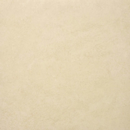 Polished Affection 24X24 | Diversity Kitchen Bath & Tile