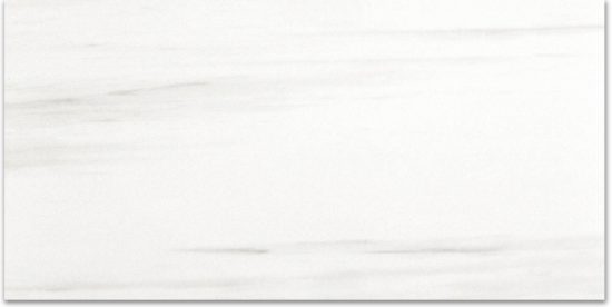 Polished Devotion 12X24 | Diversity Kitchen Bath & Tile